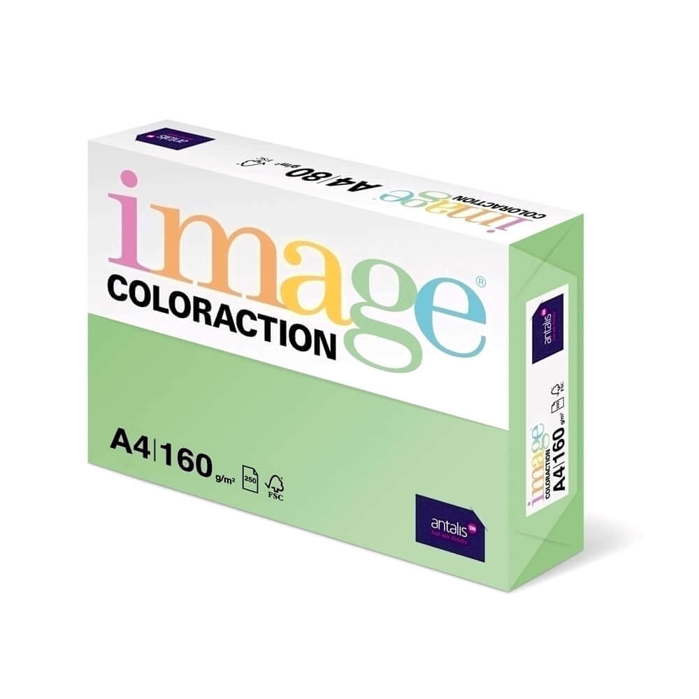 Carton color Coloraction, A4, 160 g/mp, verde padure-Forest, 250 coli/top Carton color Coloraction, A4, 160 g/mp, verde padure-Forest, 250 coli/top